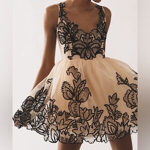 NWT Anthropologie MAEVE SLEEVELESS V-NECK LACE FIT & FLARE MINI DRESS. Size 12